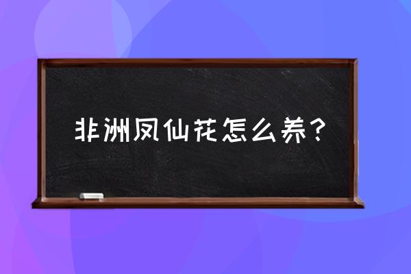 当年的凤仙花籽长出来的能过冬吗 非洲凤仙花怎么养？