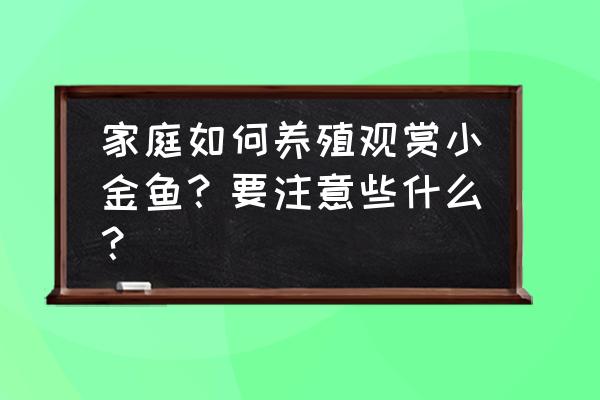 怎么把河中的鱼养活 家庭如何养殖观赏小金鱼？要注意些什么？