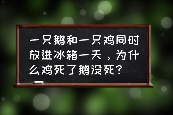 鸡为什么无缘无故会死 一只鹅和一只鸡同时放进冰箱一天，为什么鸡死了鹅没死？