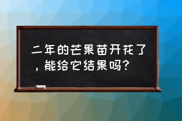 芒果怎么做成花朵 二年的芒果苗开花了，能给它结果吗？