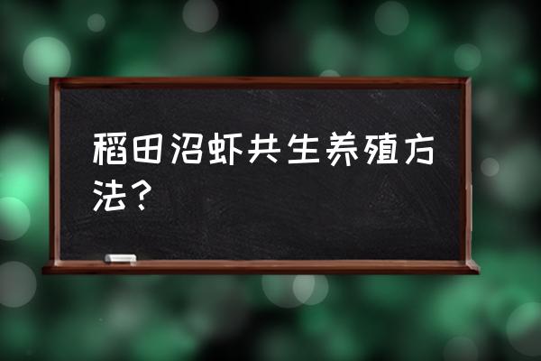 纯淡水养殖南美白对虾需要补钾吗 稻田沼虾共生养殖方法？