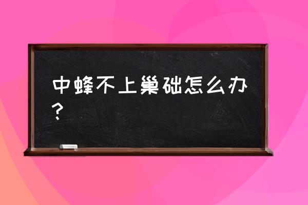 中蜂工产严重如何补救 中蜂不上巢础怎么办？