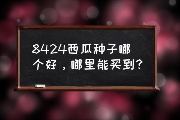 什么西瓜最甜怎样辨别 8424西瓜种子哪个好，哪里能买到？