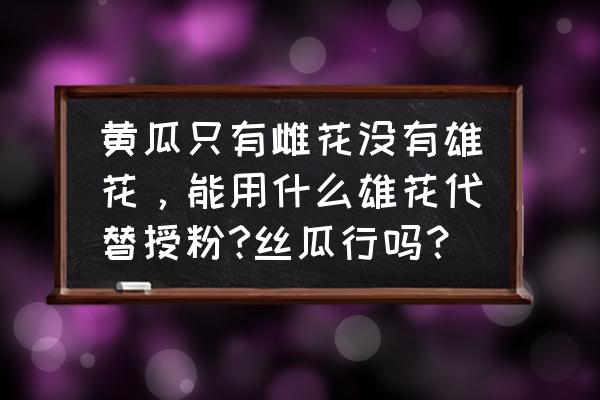 黄瓜授粉药配方 黄瓜只有雌花没有雄花，能用什么雄花代替授粉?丝瓜行吗？