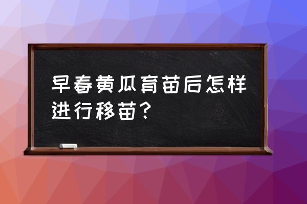 黄瓜育苗正确蹲苗方法 早春黄瓜育苗后怎样进行移苗？