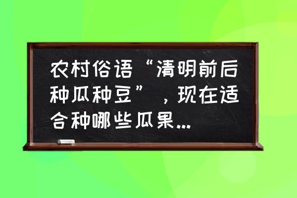 没有南瓜藤能和西红柿炒吗 农村俗语“清明前后种瓜种豆”，现在适合种哪些瓜果种类呢？