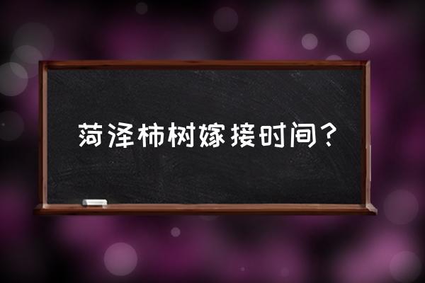 柿树农历几月份嫁接最好 菏泽柿树嫁接时间？