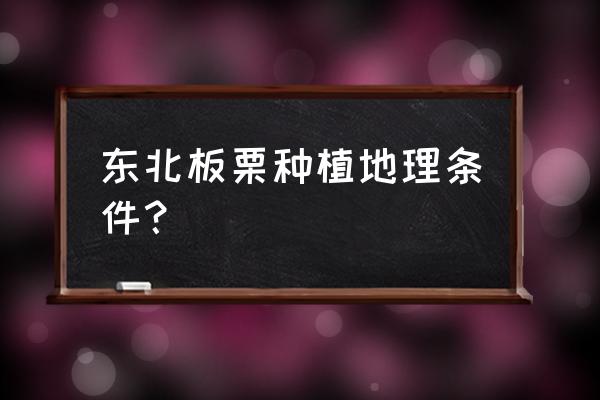 板栗树适合在什么地方栽培 东北板栗种植地理条件？