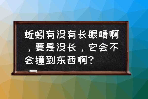 蚯蚓没有眼睛是怎么辨别方向的 蚯蚓有没有长眼睛啊，要是没长，它会不会撞到东西啊？