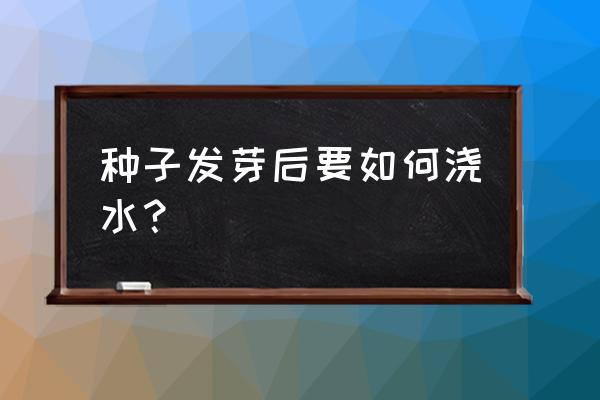 种子发芽了花要怎么养好 种子发芽后要如何浇水？