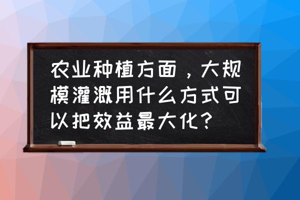 农业的特别种植方法 农业种植方面，大规模灌溉用什么方式可以把效益最大化？