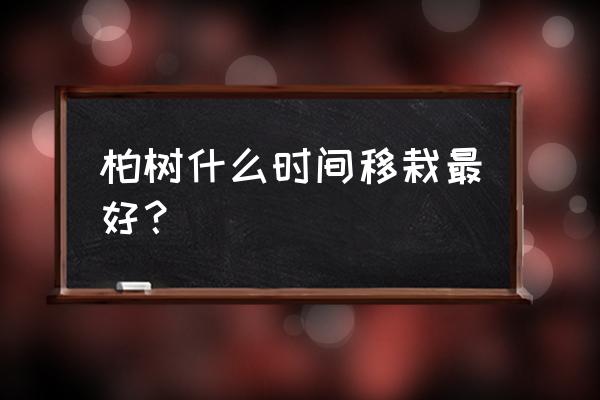 侧柏什么时候移栽最好 柏树什么时间移栽最好？