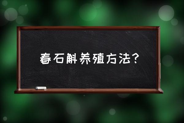 春石斛家庭种植方法 春石斛养殖方法？