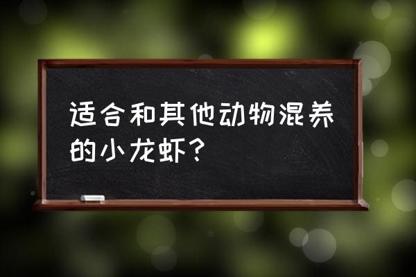 目前适合养殖什么小龙虾 适合和其他动物混养的小龙虾？