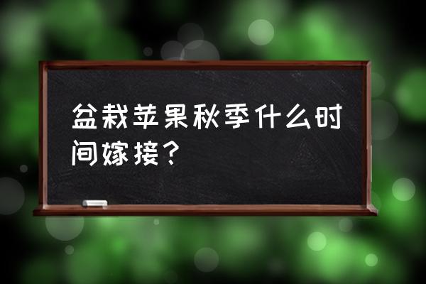 苹果的嫁接时间和方法 盆栽苹果秋季什么时间嫁接？