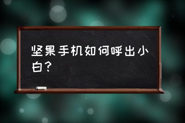 坚果手机语音唤醒在哪 坚果手机如何呼出小白？