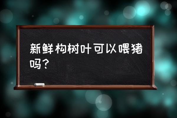 构树的叶子人能吃吗怎么吃 新鲜构树叶可以喂猪吗？