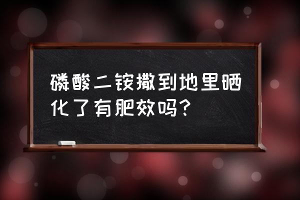 二铵化肥怎么用 磷酸二铵撒到地里晒化了有肥效吗？