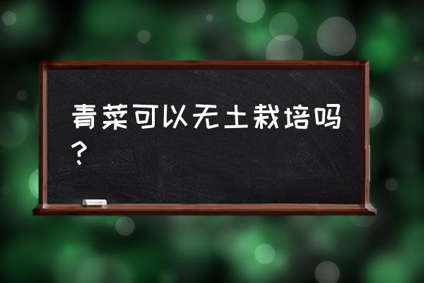 韭菜无土栽培新技术 青菜可以无土栽培吗？