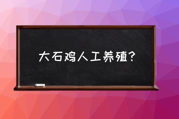 石蛙怎么养殖 大石鸡人工养殖？