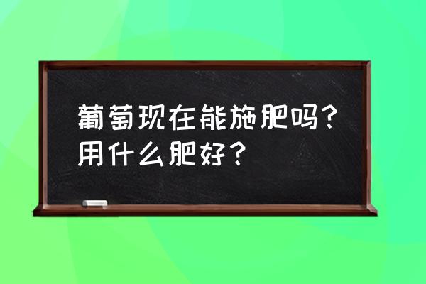 葡萄种植管理施肥技术 葡萄现在能施肥吗？用什么肥好？