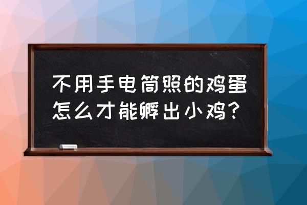 怎么人工孵化鸡蛋不用孵化器 不用手电筒照的鸡蛋怎么才能孵出小鸡？