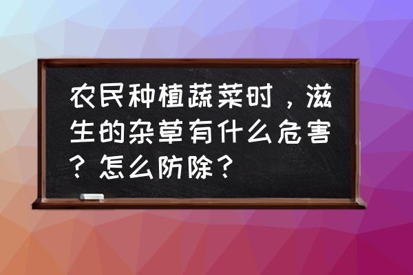 蔬菜种植病虫害怎么治 农民种植蔬菜时，滋生的杂草有什么危害？怎么防除？