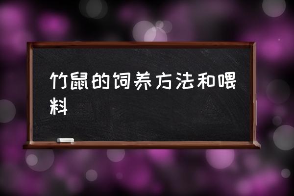 竹鼠怎么养吃什么 竹鼠的饲养方法和喂料