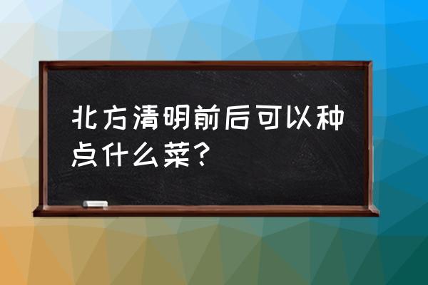 清明过后北方适合种什么蔬菜 北方清明前后可以种点什么菜？