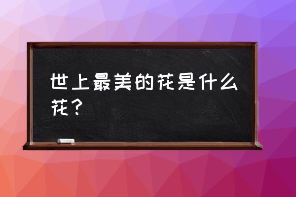 世界前十名最美花 世上最美的花是什么花？