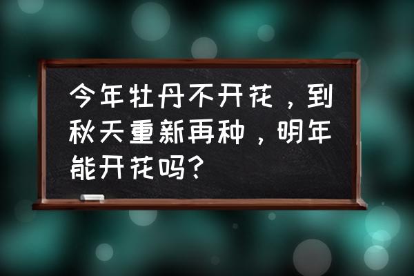 把秋天变成春天 今年牡丹不开花，到秋天重新再种，明年能开花吗？