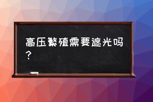 高压繁殖的诀窍和秘密 高压繁殖需要遮光吗？