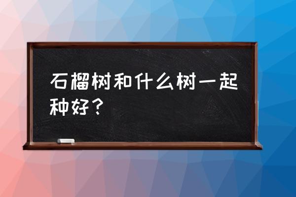 跟老婆一起种爱情树要啥品种 石榴树和什么树一起种好？