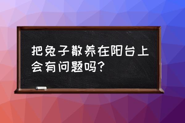 散养野兔围栏要多高 把兔子散养在阳台上会有问题吗？