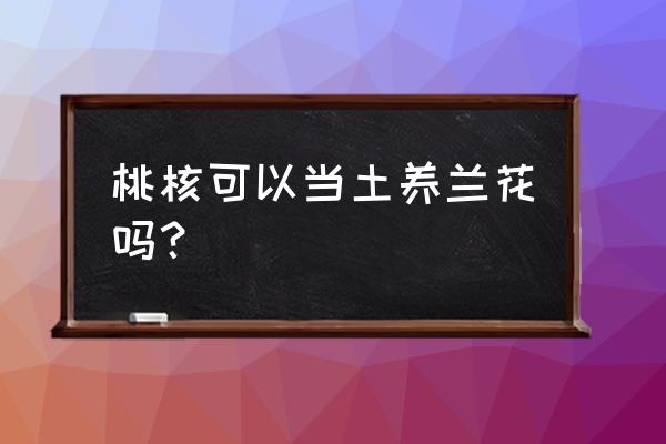 树皮纹桃核盘玩效果 桃核可以当土养兰花吗？