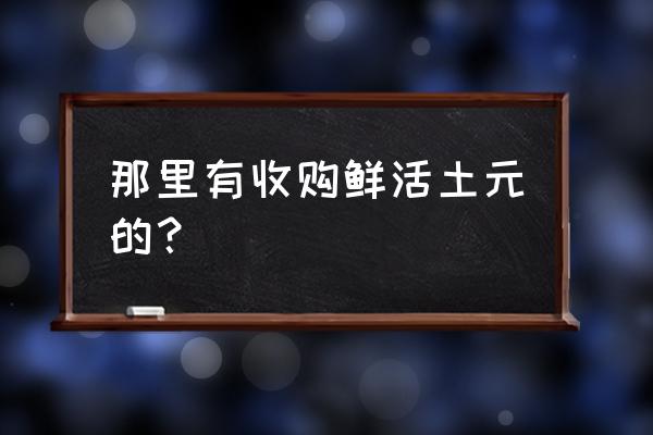 土元养殖销路前景 那里有收购鲜活土元的？