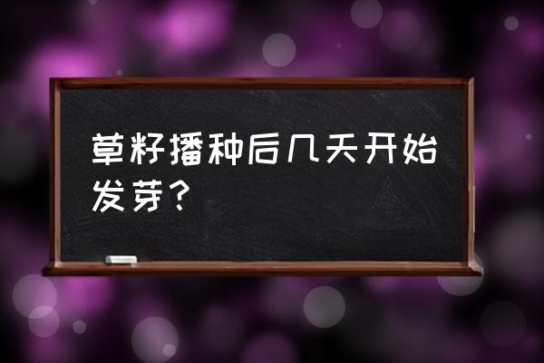 三叶草草籽如何种 草籽播种后几天开始发芽？