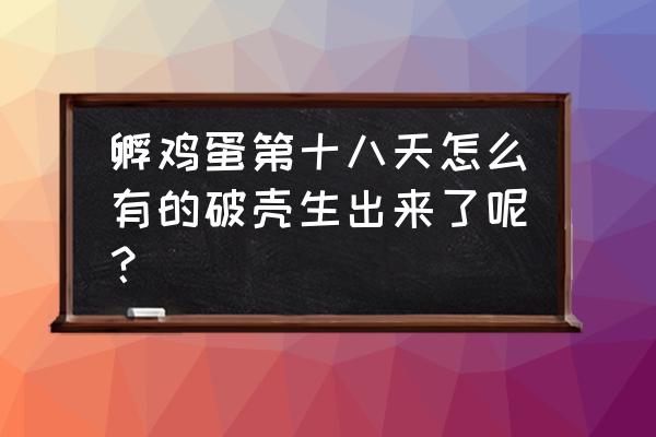 野鸡蛋孵化25天人工破壳 孵鸡蛋第十八天怎么有的破壳生出来了呢？