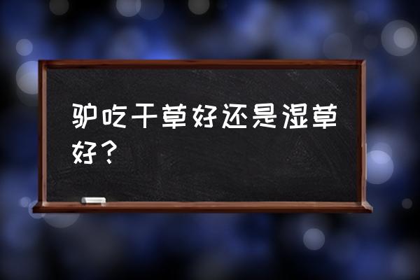 冬天青草边钓鱼技巧 驴吃干草好还是湿草好？