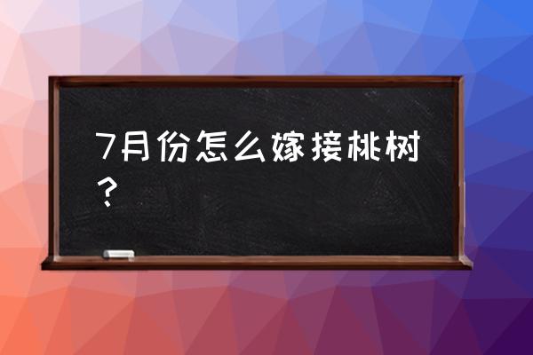 七八月份怎么嫁接桃树 7月份怎么嫁接桃树？