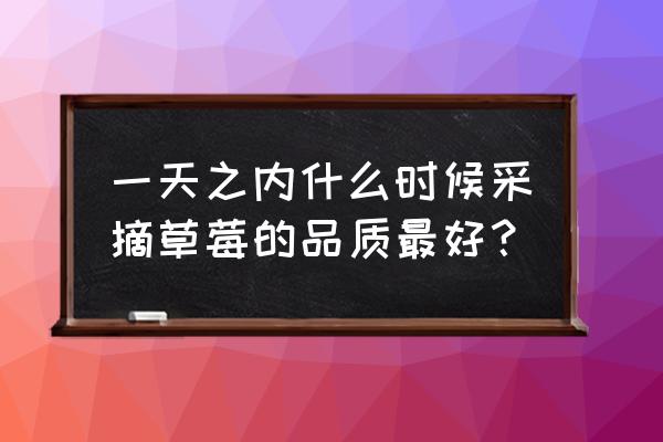 水果草莓采摘攻略 一天之内什么时候采摘草莓的品质最好？