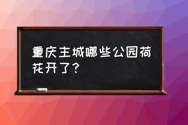 重庆周边赏花地点推荐 重庆主城哪些公园荷花开了？