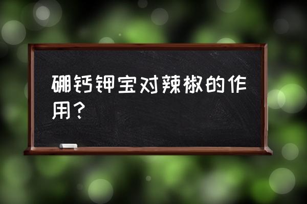 陕西辣椒保花保果专用农药 硼钙钾宝对辣椒的作用？