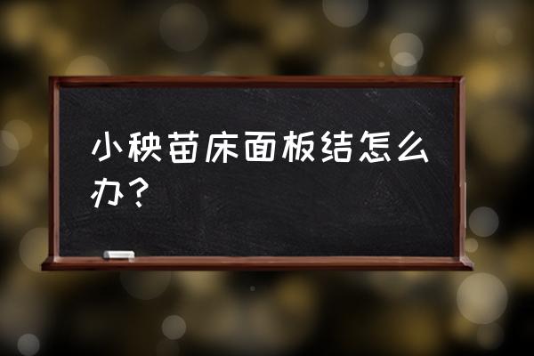 苗床育成计划攻略 小秧苗床面板结怎么办？