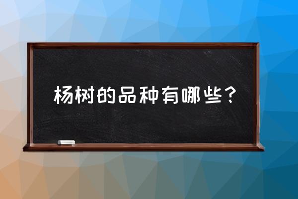 白杨树有几种 杨树的品种有哪些？