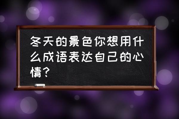 怎样描写冬天的景色 冬天的景色你想用什么成语表达自己的心情？