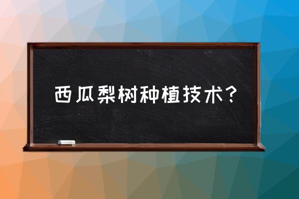 梨树栽种的时间和方法 西瓜梨树种植技术？