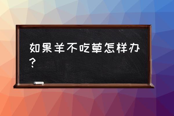 羊不吃不喝土办法 如果羊不吃草怎样办？