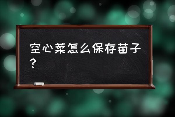 空心菜长期储存保鲜好方法 空心菜怎么保存苗子？