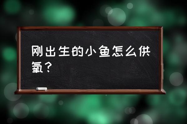 缺氧怎么无限生产水简单教程 刚出生的小鱼怎么供氧？